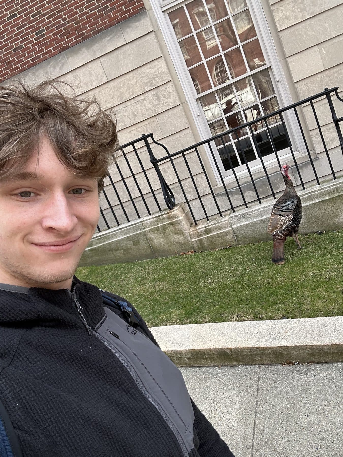Noah Finkelstein on a Providence sidewalk, a wild turkey behind him